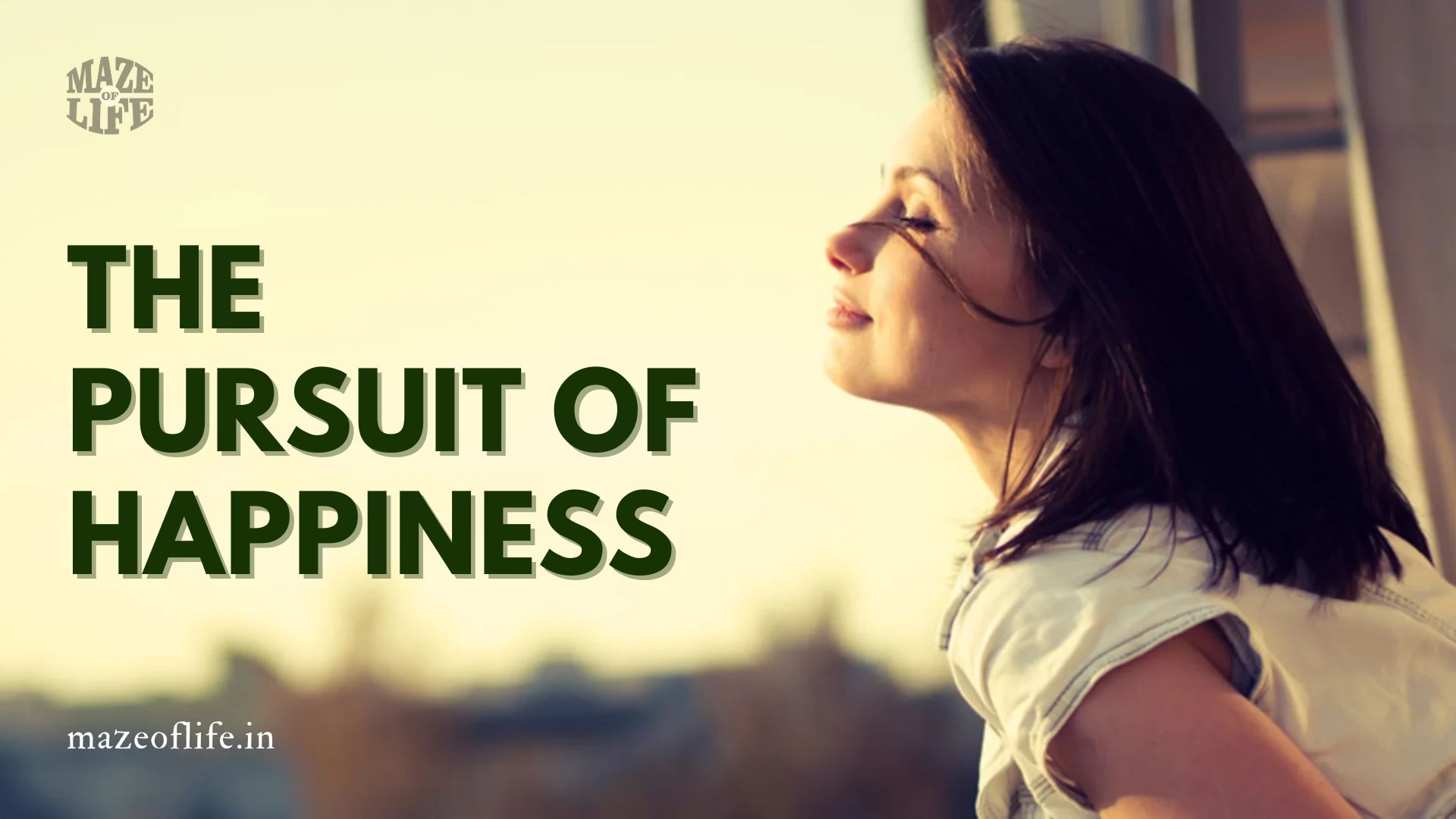 The Pursuit of Happiness